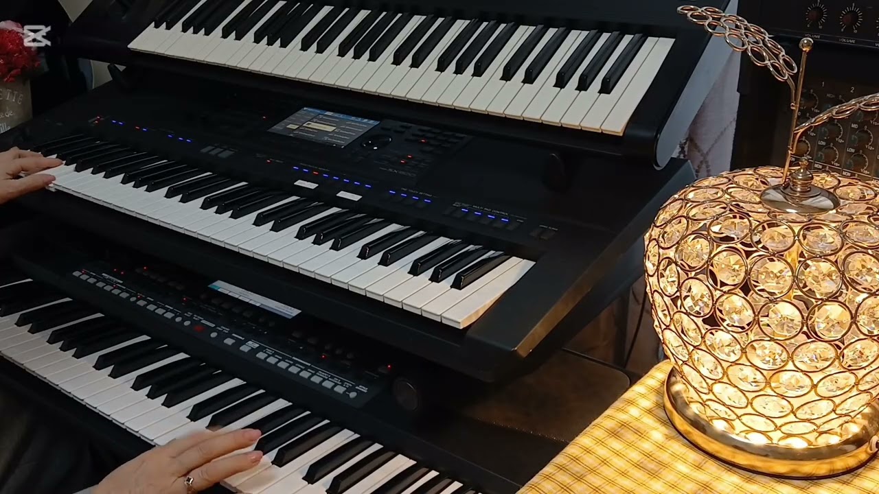 2026년2윌 24일   올겐살롱     공항의  이별 