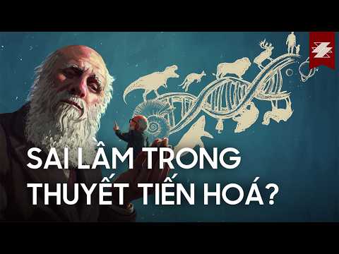 How did EVOLUTION EVOLVE? | SAMURICE