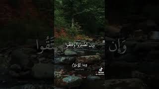 سورة الاعمران ان تصبروا وتتقوا لا يضركم كيدهم