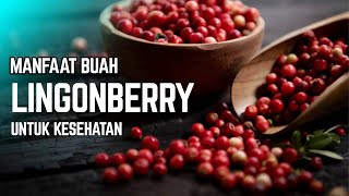 Mirip buah Berry ! Manfaat Lingonberry untuk Kesehatan Mirip buah Berry ! Manfaat Lingonberry untuk Kesehatan