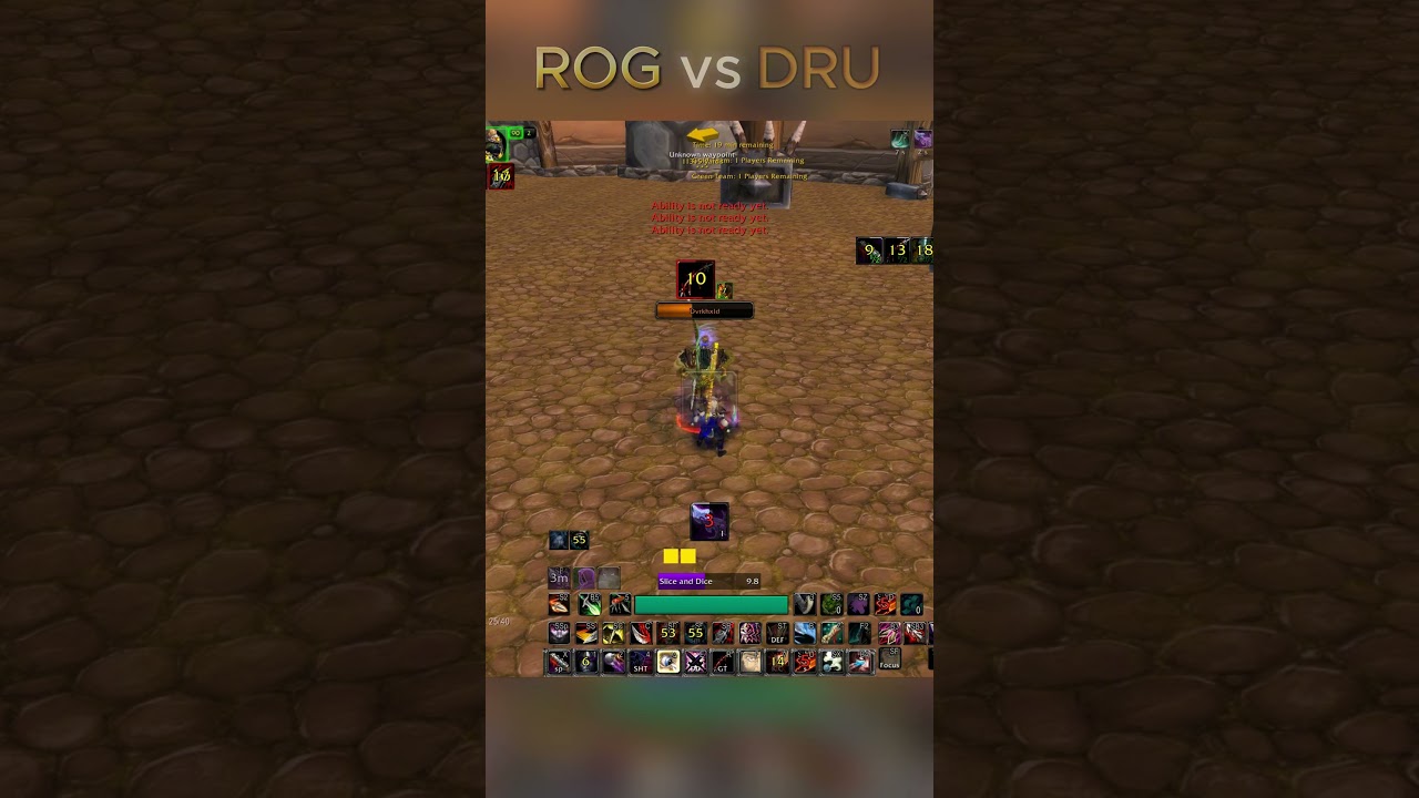 ROGUE vs DRUID  