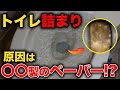 築浅物件のトイレ詰まり・・・嗚呼この組み合わせ最悪なんだよな【花のお掃除 #197】