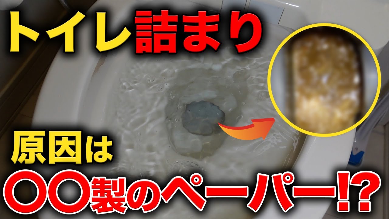 築浅物件のトイレ詰まり・・・嗚呼この組み合わせ最悪なんだよな【花のお掃除 #197】