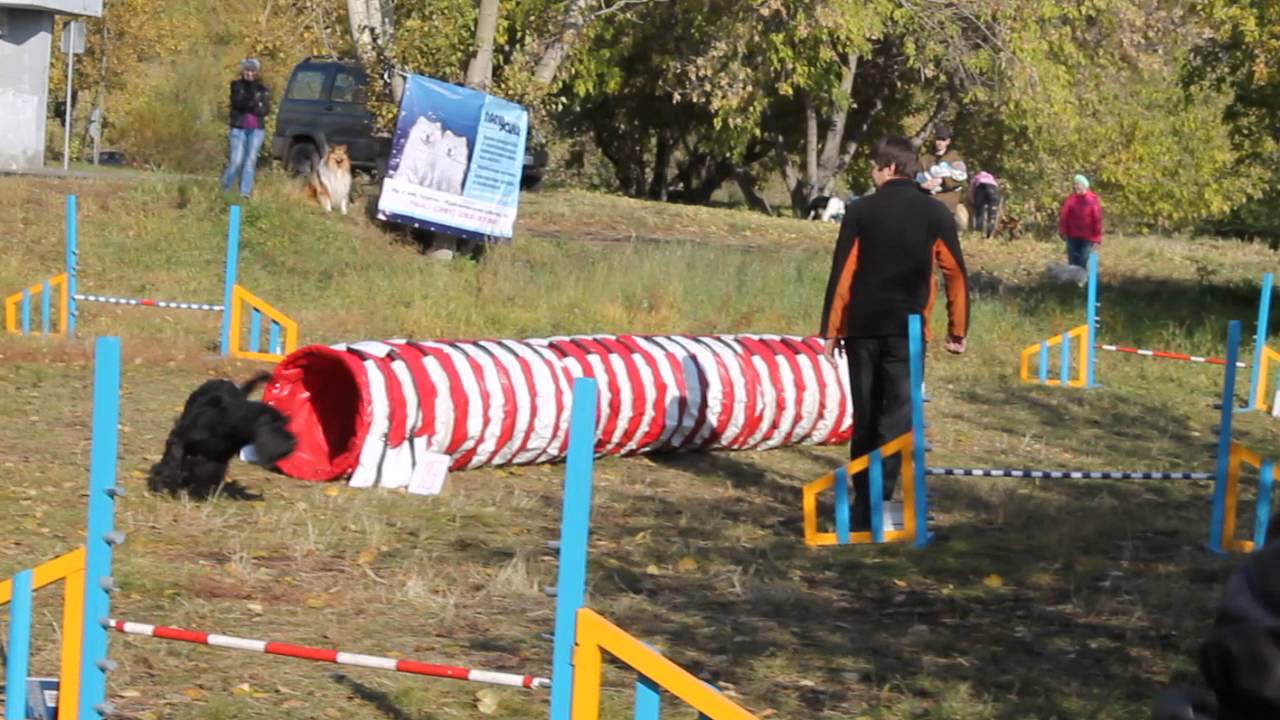 5.10.14 Михаил Субботин и Ариша.Новички