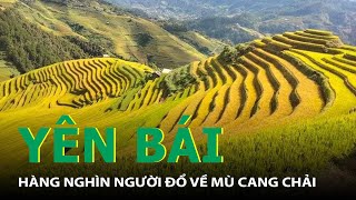 Yên Bái: Hàng Nghìn Người Đổ Về Mù Cang Chải Ngắm Mùa Vàng Chảy Tràn Trên Triền Núi | SKĐS