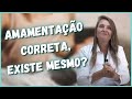 EXISTE AMAMENTAÇÃO CORRETA? - @draelizetekaffer