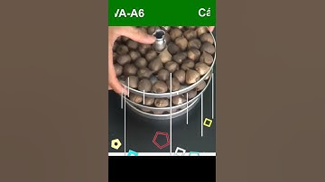 Cách làm và sấy tỏi đen cùng LUVA A6 và cái kết???