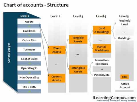 Sap Chart Of Accounts Structure