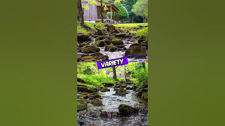 Cabin For Sale | $179,000 | 3.50 Acres |  Robbinsville, North Carolina