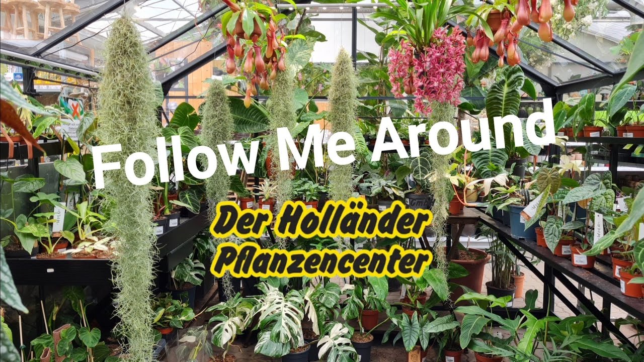 Follow Me Around 💚 | Der Holländer Am Olympiastadion 🌱 | Meine neuen Pflanzen 🥰