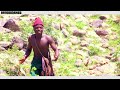 Mubwali Vuvhu Mungode Yesu By SHEDY GUNDUS Mubwali Vuvhu Mungode Yesu By SHEDY GUNDUS