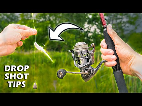 How to Fish a Drop Shot: A Complete Guide