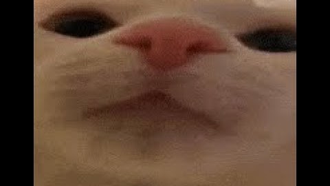 2V9 RAID DEFENCE AGAINST CHEATERS. OFFICIAL VANILLA