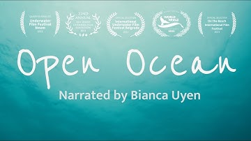 Open Ocean: The Big Blue