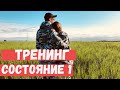 Тренинг личностного роста  Состояние. Запись вебинара. Часть 2. Владимир Воронович