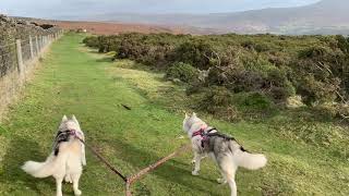 MiaNola walking in Welsh hills