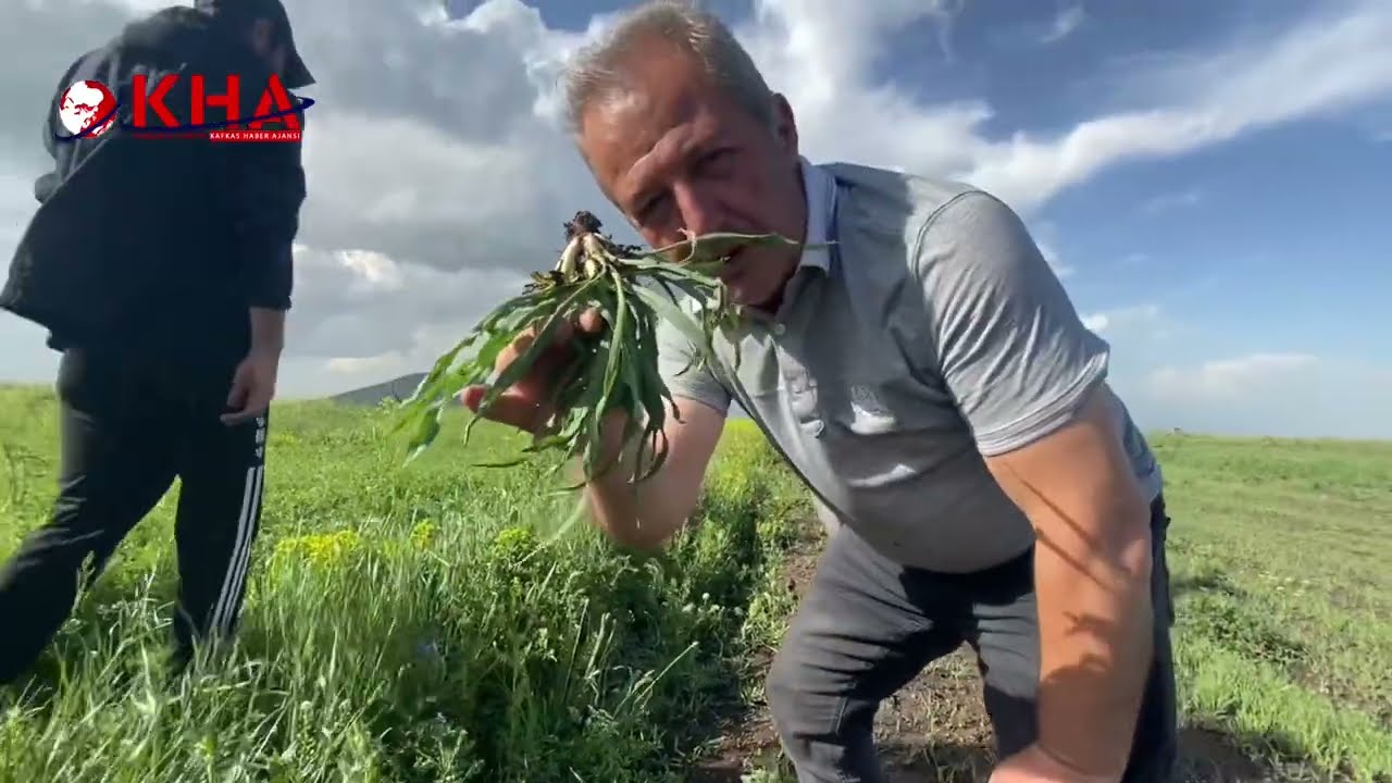 Yemlik toplamaya gittik