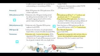 Molecular Biochemistry (part-5)  DNA Replication  USMLE step 1  First Aid 2023  Bangla  Bengali