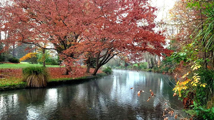 Winter in Hagley Park