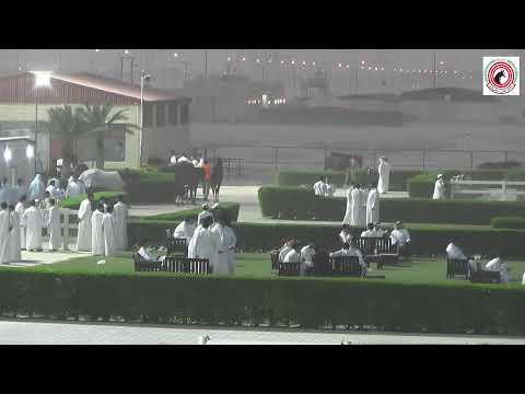 الاجتماع الثاني نادي الصيد والفروسية مضمارالشيخ احمد الجابر الصباح 2025 11 11