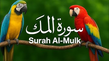 سورة الملك Surah Al-Mulk Beautiful & Relaxing Tilawat | Surah Mulk