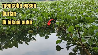 MANCING!Mancing Nila Ngantang Essen Durian