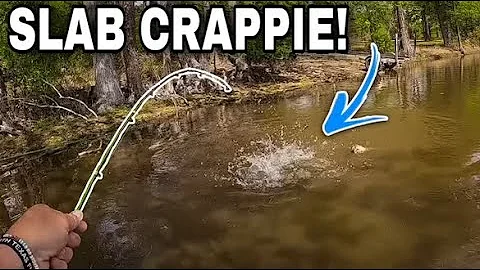 CRAPPIE The Size Of DINNER PLATES 🍽️ CRAPPIE Fishing In Shallow Water!!