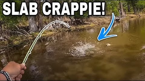 CRAPPIE The Size Of DINNER PLATES 🍽️ CRAPPIE Fishing In Shallow Water!!