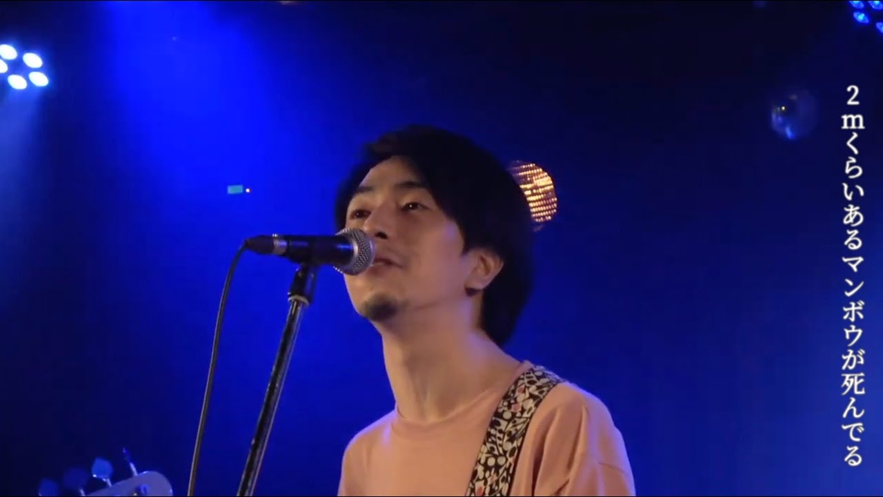 【Live】家の裏でマンボウが死んでる / 家の裏でマンボウが死んでるP（2020年8月17日 @浅草橋マンホール）