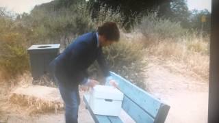 Hop The Movie Dog Attack