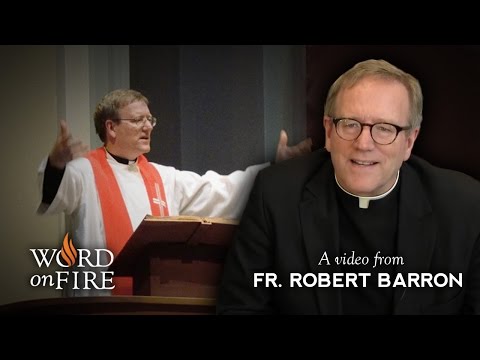 Robert Barron Photo 17