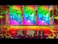 P花の慶次蓮 パチンコ新台 虎柄天晴・図柄レインボー・虎柄激アツ・慶次保留・信頼度99.8％カットインキセル パチンコ実践【ニューギン】