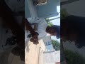 iPhone #vlog #iphone