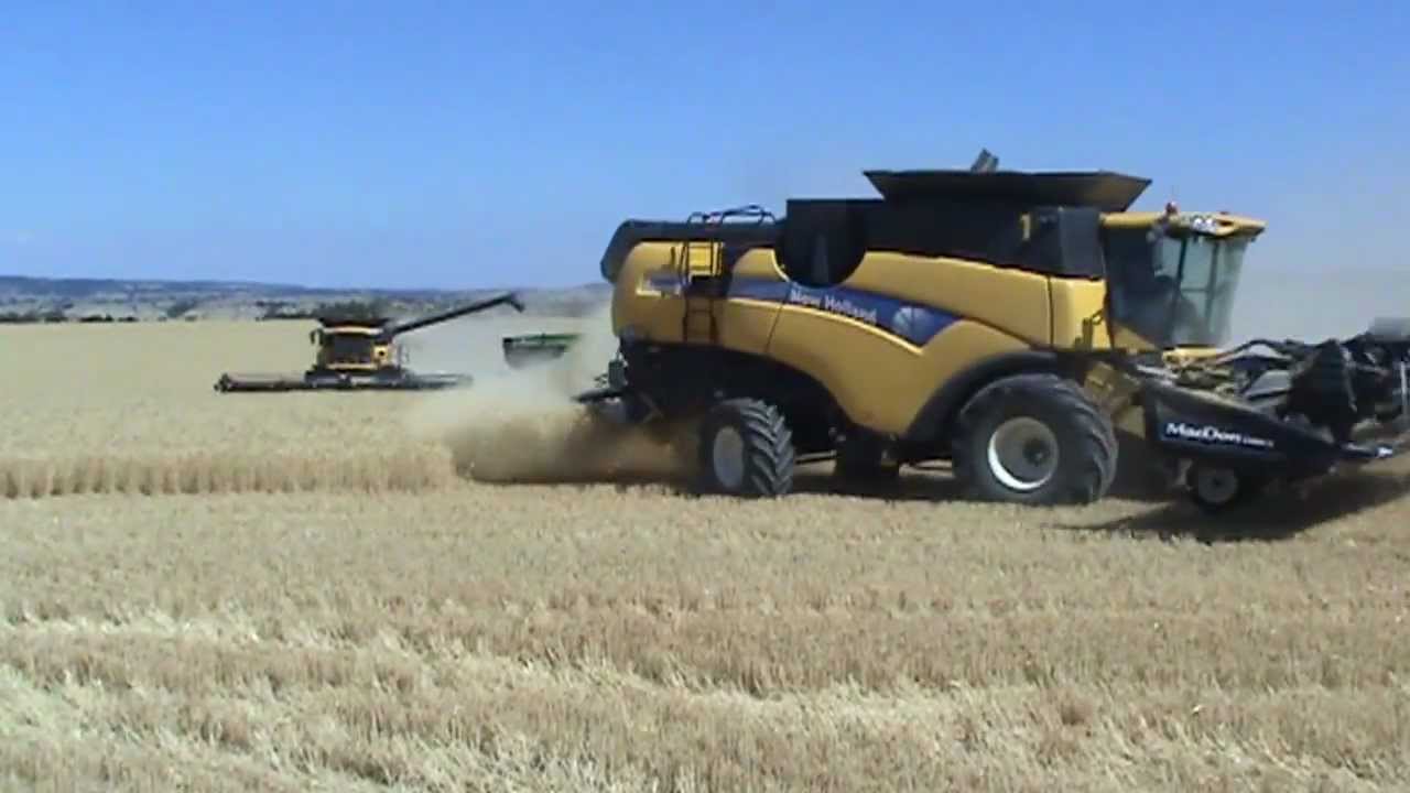 Slivka Harvest 2012 (Part 1)