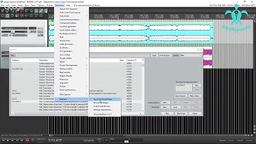 REAPER Actions and Macros for Doug