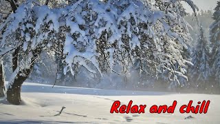 Tired? Fall asleep and Relax with falling snow in forest with healing music for the heart and soul