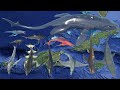 Colossal Shark Vs Fog Shark - 3D Epic &amp; Legendary Shark Size Comparison
