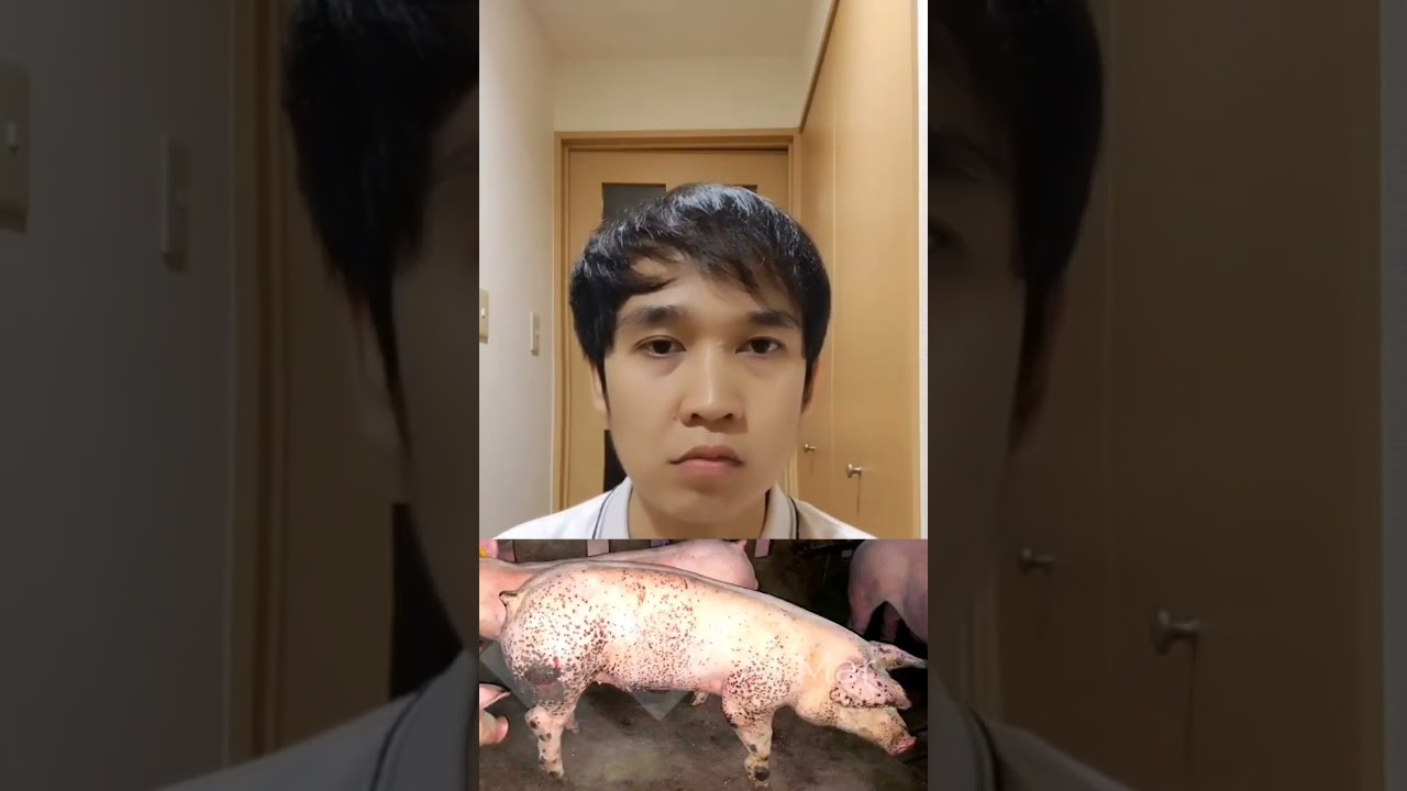 ဝက်သားခွဲတွေမှာ ဖြစ်တတ်တဲ့ရောဂါ