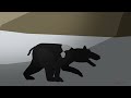 Middle of video