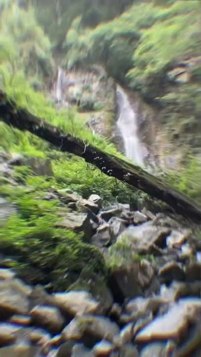Pangot Hidden Waterfall | Pangot Nainital | Trip Engineers