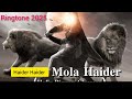 Haider Haider Farsi Noha Ringtone 2025 New Trending Tune Haider Haider Farsi Noha Ringtone 2025 New Trending Tune