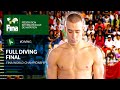 Men's 10m Platform Final at Melbourne 2007 - FULL REPLAY | FINA World Championships