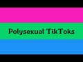 polysexual tiktok compilation