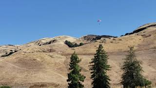 Ed Levin Park Milpitas CA Many fliers from birds to paragliders to airplanes