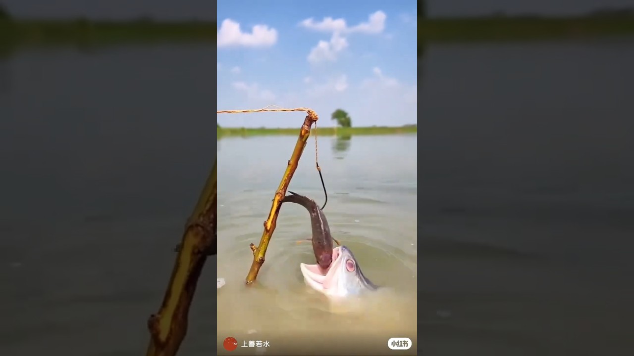 New fish catching ideas