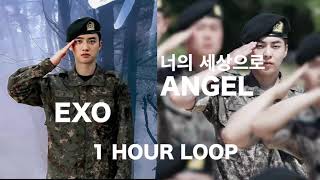 [1 시간 / 1 HOUR LOOP] EXO 엑소 너의 세상으로 (Angel)