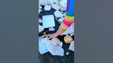 Bắt Cua Biển. Chị Gái bị 2 càng cua kẹp và cái kết #mòcuabắtốctv