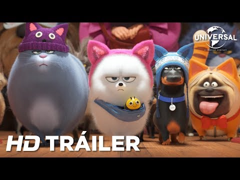 MASCOTAS 2 - Tráiler Mundial (Universal Pictures) - HD