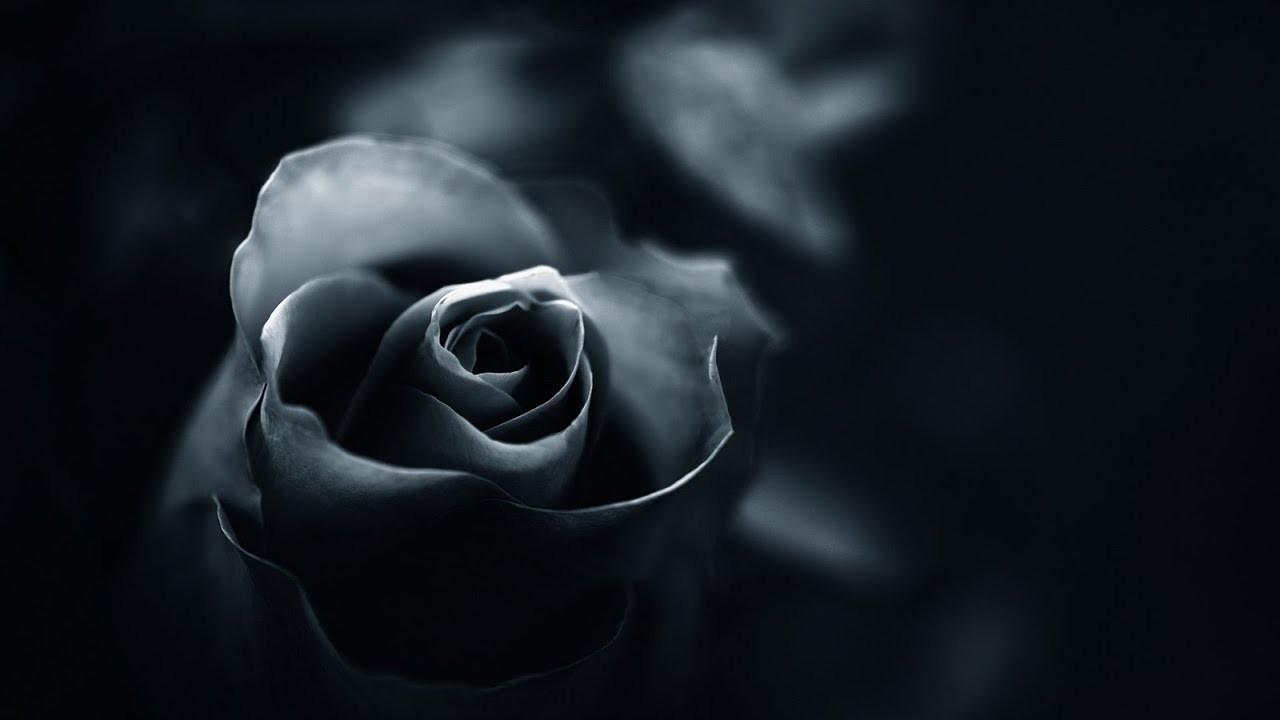 Relaxing Dark Romantic Music – Black Rose ★290 | Spooky, Gothic - YouTube