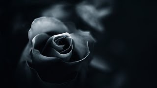 Relaxing Dark Romantic Music – Black Rose ★290 | Spooky, Gothic screenshot 4